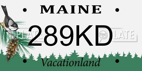 289KD Maine License Plate