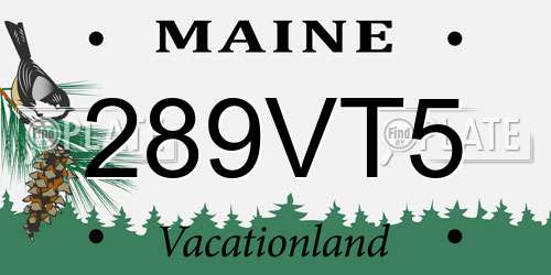 289VT5 Maine License Plate