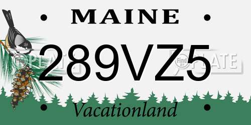 289VZ5 Maine License Plate