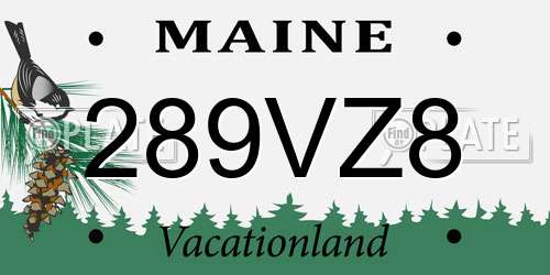 289VZ8 Maine License Plate