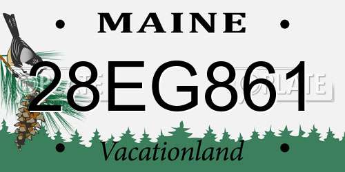 28EG861 Maine License Plate