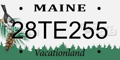 28TE255 Maine License Plate