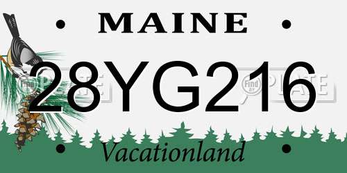 28YG216 Maine License Plate