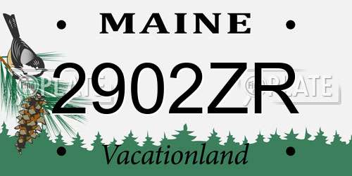 2902ZR Maine License Plate