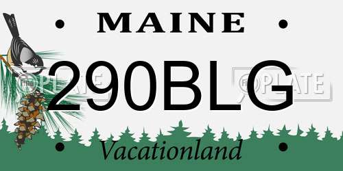 290BLG Maine License Plate