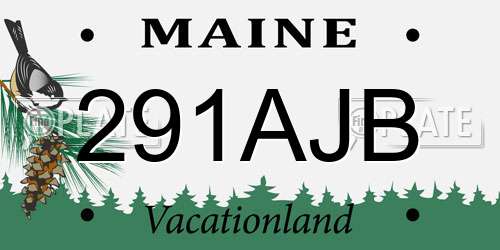291AJB Maine License Plate
