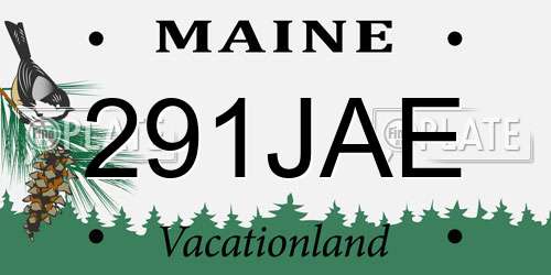 291JAE Maine License Plate