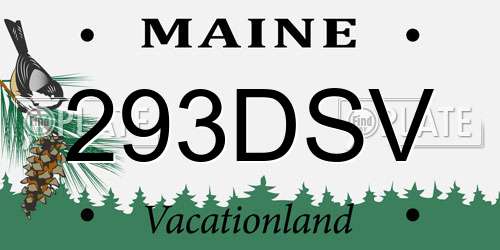 293DSV Maine License Plate