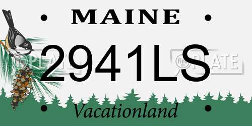 2941LS Maine License Plate