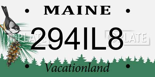 294IL8 Maine License Plate