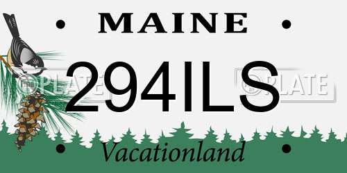294ILS Maine License Plate