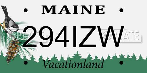 294IZW Maine License Plate