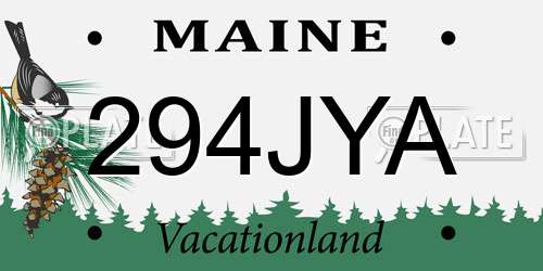 294JYA Maine License Plate