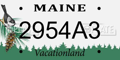 2954A3 Maine License Plate