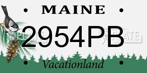 2954PB Maine License Plate