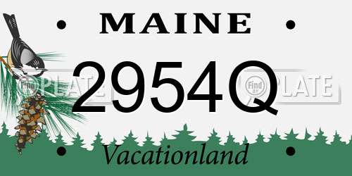 2954Q Maine License Plate