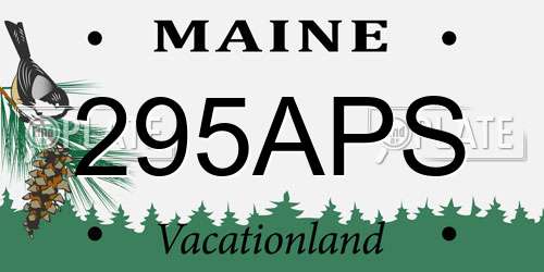 295APS Maine License Plate