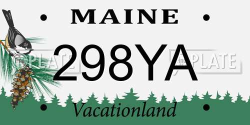 298YA Maine License Plate