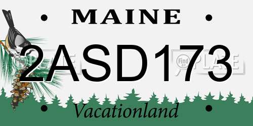 2ASD173 Maine License Plate