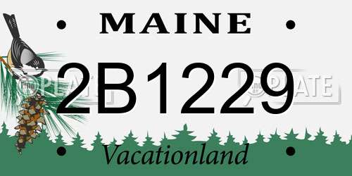 2B1229 Maine License Plate