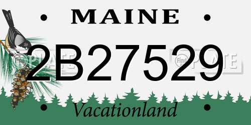 2B27529 Maine License Plate