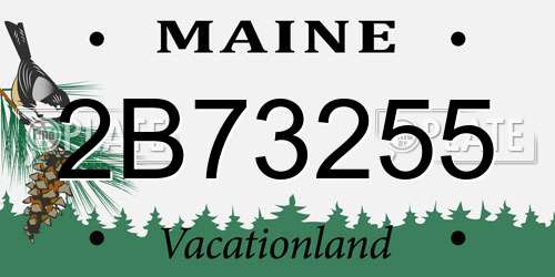 2B73255 Maine License Plate
