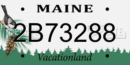 2B73288 Maine License Plate