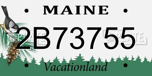 2B73755 Maine License Plate