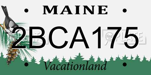 2BCA175 Maine License Plate