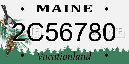 2C56780 Maine License Plate
