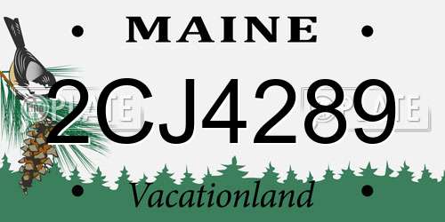 2CJ4289 Maine License Plate