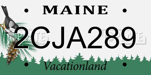 2CJA289 Maine License Plate