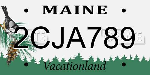 2CJA789 Maine License Plate