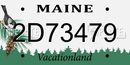 2D73479 Maine License Plate