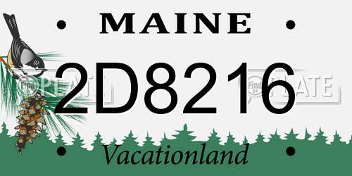 2D8216 Maine License Plate