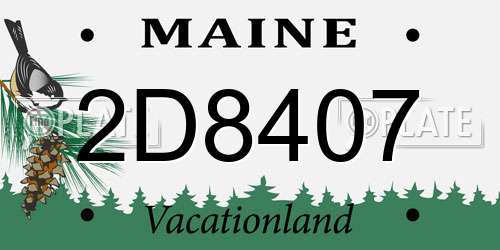 2D8407 Maine License Plate