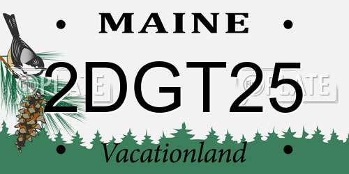 2DGT25 Maine License Plate