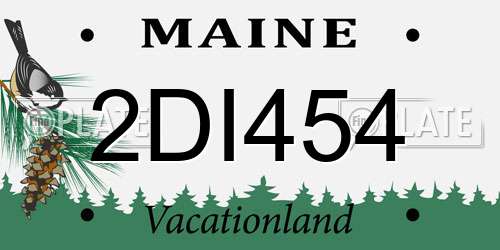 2DI454 Maine License Plate