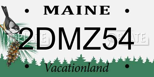 2DMZ54 Maine License Plate