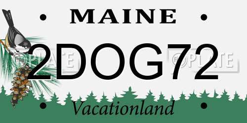 2DOG72 Maine License Plate