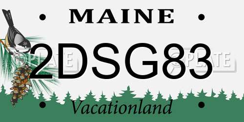 2DSG83 Maine License Plate
