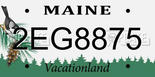 2EG8875 Maine License Plate