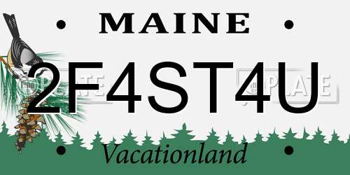 2F4ST4U Maine License Plate