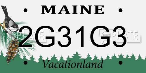 2G31G3 Maine License Plate