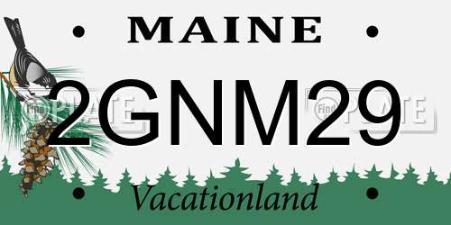 2GNM29 Maine License Plate