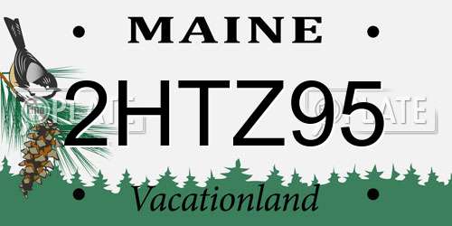 2HTZ95 Maine License Plate