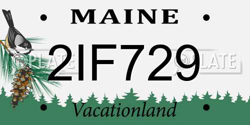 2IF729 Maine License Plate