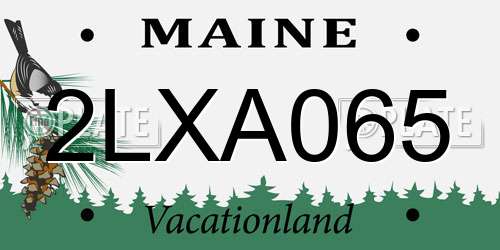 2LXA065 Maine License Plate