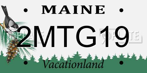 2MTG19 Maine License Plate