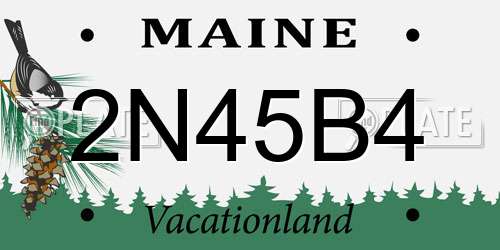 2N45B4 Maine License Plate
